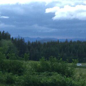 Landschaft mit dichter Waldfläche und Bergen im Hintergrund unter einem bewölkten Himmel.