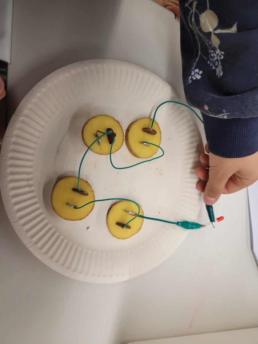 Experiment zur Stromerzeugung mit Kartoffeln, verbunden durch Drahtverbindungen und Klemmen auf einem Pappteller.