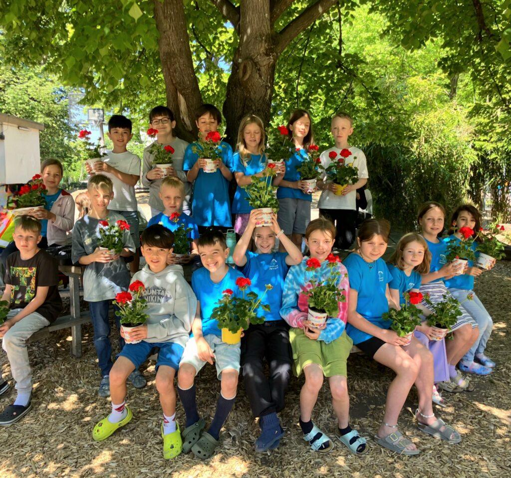 Geranienausgabe der Klasse 3a